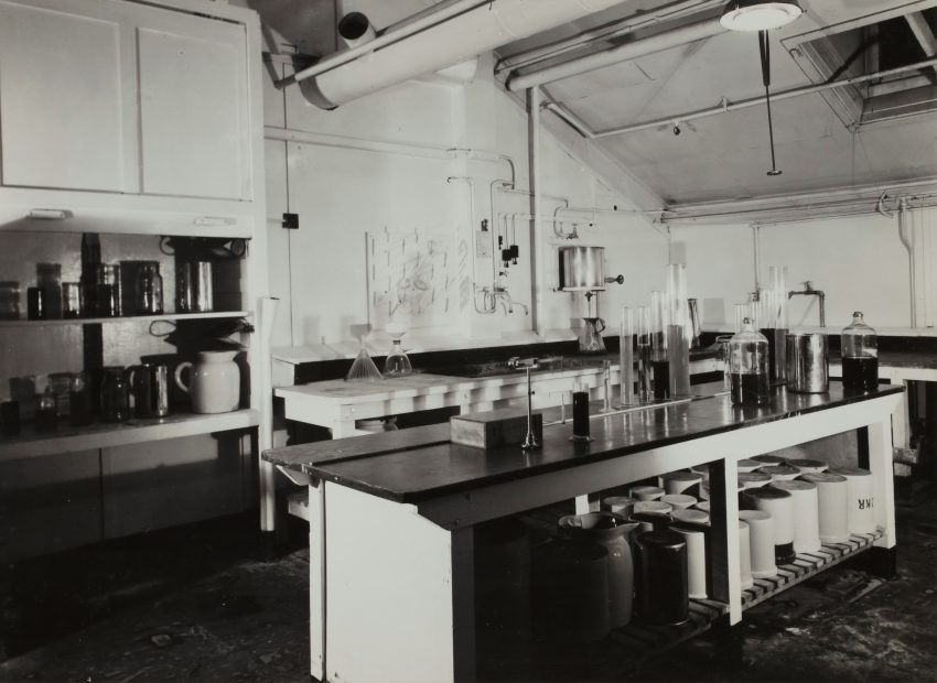 zdjęcie w naukowym laboratorium